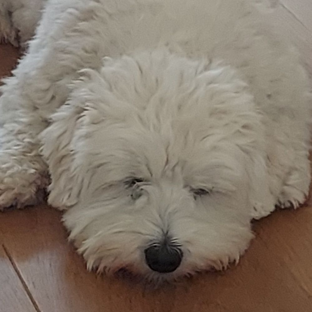 Portrait of Mathew Lowry